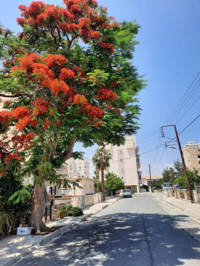 לרנקה Large Apt 2 Bedrooms Sea View & 2 Balconies מראה חיצוני תמונה